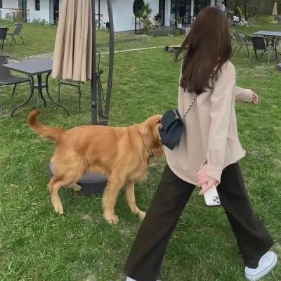 五个堕落的男女